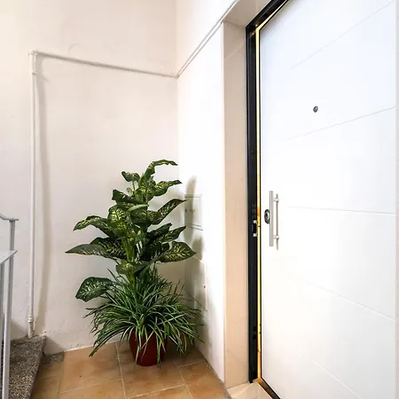 Dolci Coccole Small A Citta! باري