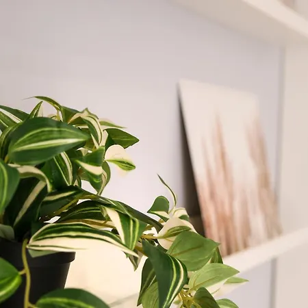 Dolci Coccole Small A Citta! شقة باري