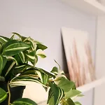 Dolci Coccole Small A Citta! Apartment Bari
