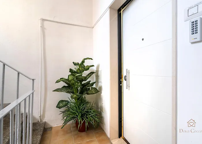 Dolci Coccole Small A Citta! Bari