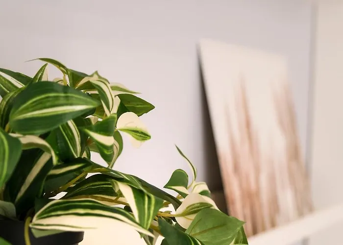 Dolci Coccole Small A Citta! Daire Bari